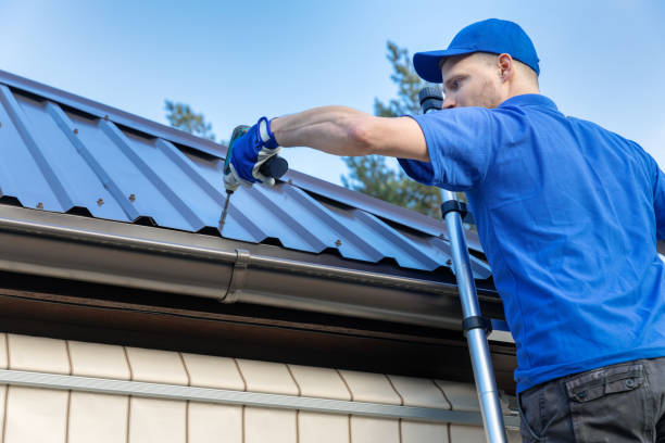 Best Skylight Installation and Repair  in Orange, VA
