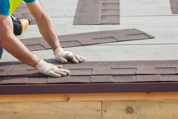 Best Roof Moss and Algae Removal  in Orange, VA