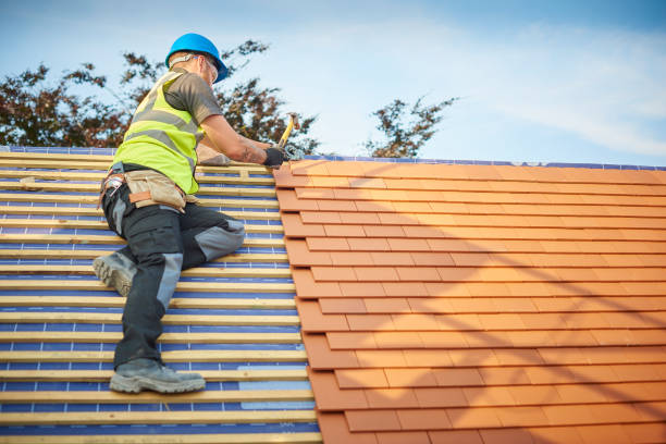 Best Emergency Roof Repair Services  in Orange, VA